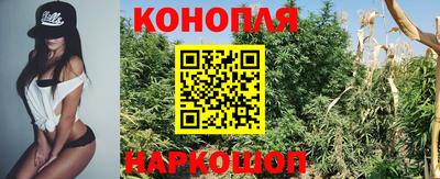 стаф Бугуруслан