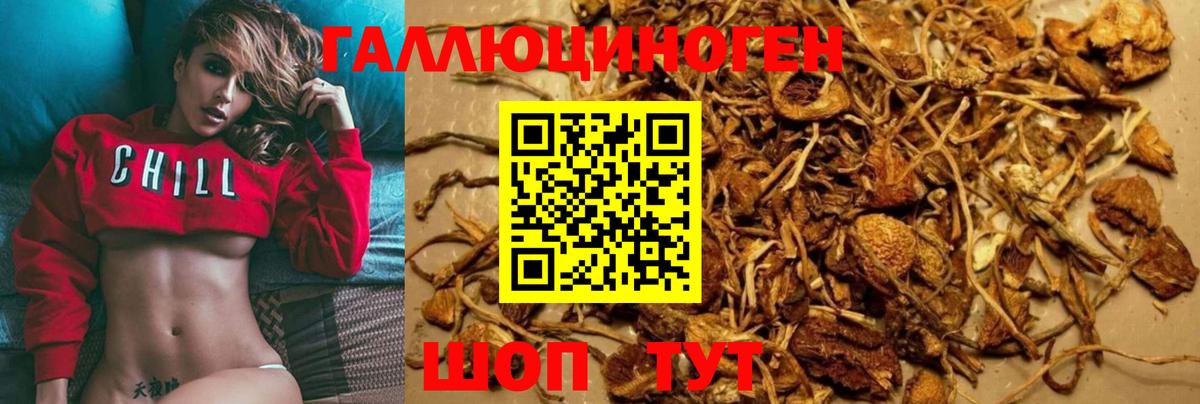 Старая Русса  Галлюциногенные грибы Psilocybe  Галлюциногенные грибы MAGIC MUSHROOMS  Вход с VPN 